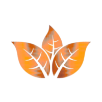 Sacmar Leaf Tobacco (Pvt) Ltd