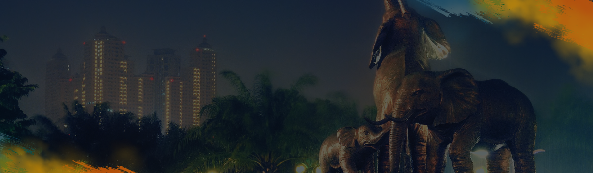 Asia Visa info stripe